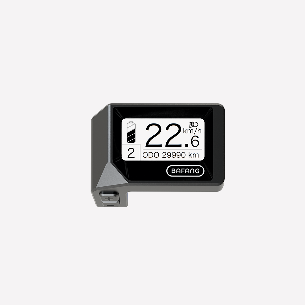 Display DP C221.CAN